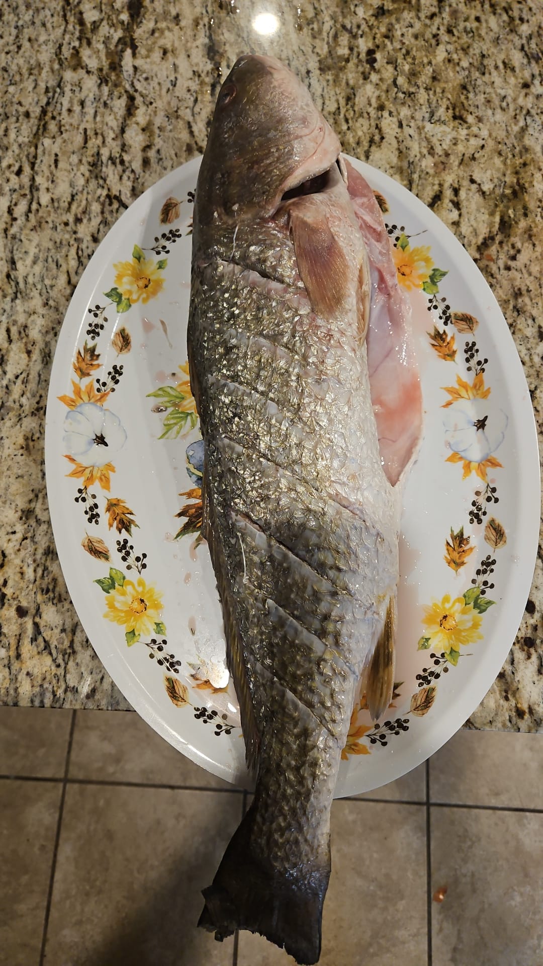 Roasted Bar Fish